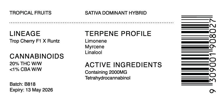 Clean Skin Tropical Fruits THC 20% 10g Jar Rays ANTIDOTE
